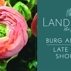 Landpartie Burg Adendorf 2026 | LATE NIGHT SHOPPING am 15.05.2026