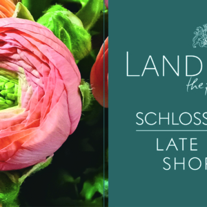 Landpartie Schloss Gödens 2026 | LATE NIGHT SHOPPING am 22.05.2026